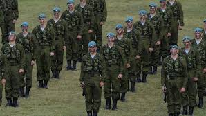 Рассматриваем фото и изучаем описание. Forma Voennaya Desantnikov Vdv Rossii Novoe Dembelskoe Obmundirovanie Polevaya Oficerskaya I Ofisnaya Odezhda V 2020g