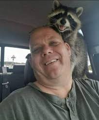 Loss of Beloved Pet Cat Nasty