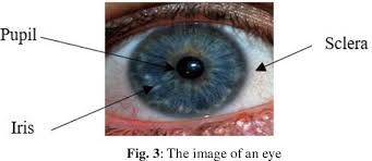 Check spelling or type a new query. An Efficient Iris Image Thresholding Based On Binarization Threshold In Black Hole Search Method Semantic Scholar