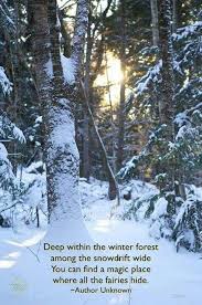 Deep Within The Winter Forest Among The Snow Drift Wide Fairy Quotes Snow Quotes Winter Forest