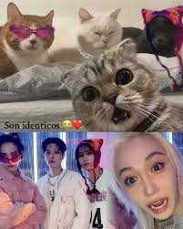 Almost looked like twins or is it only me seeing it like their twins