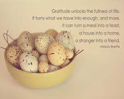 You are so healthy and puffy that sometimes i wonder if you were a turkey! Healthy Gratitude Two Chums
