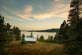 Check spelling or type a new query. 2014 Diy Blog Cabin
