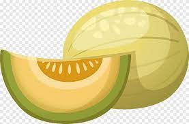 In addition, all trademarks and usage rights belong to the related institution. Hami Melon Honeydew Fruit Fruits And Vegetables Melon Food Melon Png Pngegg