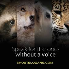 Wildlife Conservation Slogans And Sayings Save Wildlife Slogans Wildlife Conservation Save Animals Slogans