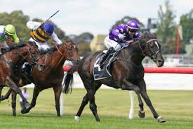 The astute price, a deep thinker on racing, believes it is kah's equestrian background which has helped shape her as the queen of australia's riding ranks. Horse Racing Jockey Jamie Kah Wins The Sandown Cup And Zipping Classic