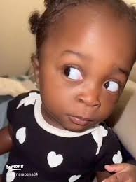 Corgis and Major Side Eye Energy: A Fun Exploration