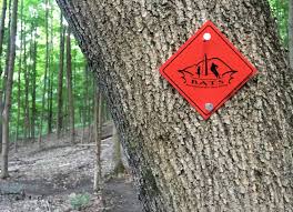 Bennington Area Trail System Explore Southern Vermont Trails