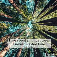 There are many wrong decisions made. 101 Nature Quotes Best Quotes About Nature