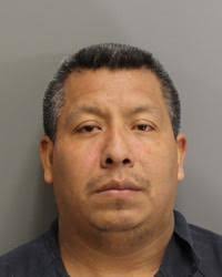 Police: 15 arrested in online child sex sting