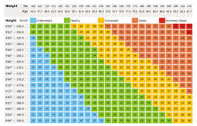 Obesity Problem Morbid Obesity Bmi Range