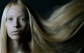 Lucienne Sencier Photography