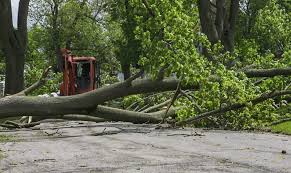 Severe thunderstorms and dangerous hot weather forecasted for Central NY today