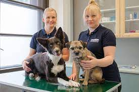 Veterinary referral hospital provides a 24 hour pet emergency service. New 24 7 Evidensia Animal Hospital To Open In Tampere Ivc Evidensia