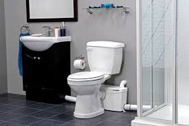 That leaves you wondering what your basement toilet options are, and how feasible this project will turn out to be. Environmentally Friendly Toilets