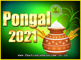 The eve of this day is called bhogi pongal which is a day that is set aside for. 2021 Pongal Festival Date Time 2021 Thai Pongal Calendar Festivals Date Time