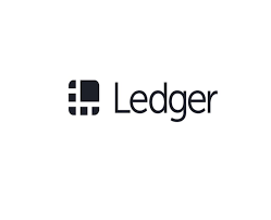 This is why ledger is a great anonymous bitcoin wallet to start using. Ledger Nano X Review Cryptovantage 2021