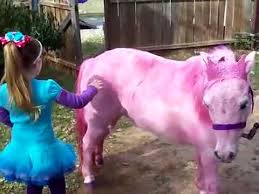Children's birthday party with 12 guests. Mobile Petting Zoo Rentals Birthday Party Pony Rides Children Parties Ponies Rentals Youtube