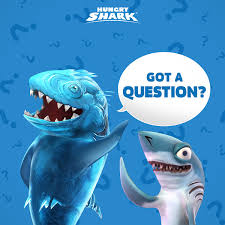 Take control of a very hungry shark and go on a frantic ocean rampage, surviving as. Hungry Shark We Re Back For Another Ask The Team Post Ask Us Your Questions About Hungryshark In The Comments Below And We Ll Try To Answer Them The Best We Can Hungry