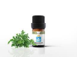 Bylica to rodzaj roślin liczący wiele gatunków. Bylica Roczna Bewit Love