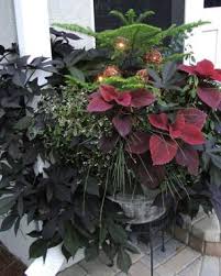5520 white horse pike, egg harbor city, nj 08215. Accessorize Finalist Photos From The 2011 Container Design Challenge Finegardening
