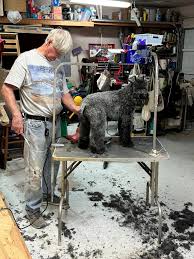 Profile for Kerry Blue Terrier Club of Texas