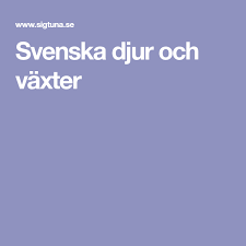 Svenska Djur Och Vaxter Djur Fotosyntes Livskunskaper
