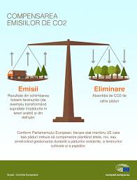 .protectia sanitara protectia animalelor protectia solului protectia consumatorului echipament de protectia muncii referate sociologie juridica protectia aerului referat protectia,igiena si securitatea muncii instructajul de protectia muncii in laborator electrocutarea si protectia impotriva electrocutarii. SchimbÄrile Climatice Utilizarea PÄdurilor Pentru A Echilibra Emisiile De Co2 Actualitate Parlamentul European