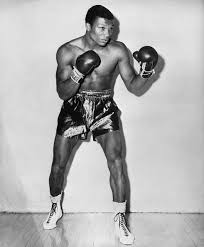 What's not to love about this cute cat breed? Big Cat Cleveland Williams 1950s And 60s Heavyweight Contender Who Was Ranked The 49th Best Puncher Of All Time By The Ring In 2003 Boxeo
