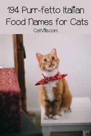 Now that you've made this important decision, you might have another to make… one that will certainly demonstrate whether you are truly worthy of the privilege of cat ownership. 194 Purr Fetto Italian Food Names For Cats