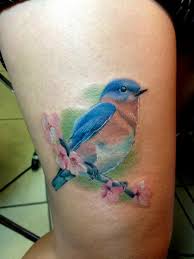 Blue Bird And Rose Tattoo Tattoos And Artwork Susannah Griggs Bluebird Tattoo Birds Tattoo Rose Tattoos