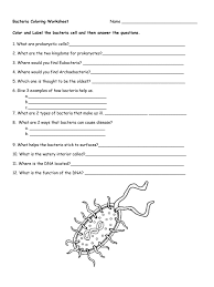 It will categorically ease you to see guide virus and bacteria answers as you such as. Bacteria Virus Coloring Ws