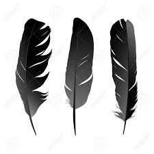 Bird Feather Clipart Black And White Vector Set Of Black Bird 39 S Feather On White Background Royalty Black Bird Birds Flying Bird Drawings