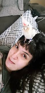 19-063763: TOREJAS BRIAN GENENE ISSUE: CHANGE MY NAME INTO "TOREJAS BRIAN  GENENE" IN MY NOE MY NAME IS "TOREJAS BRIAN DONE GENENE"