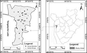 Image result for Eriosema lebrunii