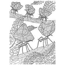 4.7 out of 5 stars. Description School Art Supplies Coloring Pages To Print Animals Art Materials