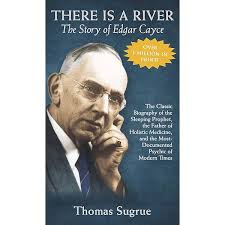 Unseen Witness: Sarah Farmer & The Portsmouth Peace Treaty: Perry, Anne  Gordon, Perry, Tim, Wascovich, Tamara, Cravens, Carolina, Perry, Tim:  9780998425610: Amazon.com: Books