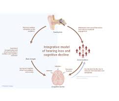 Image result for Higher Integrative Function