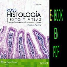 Pin De Delivery De Libros En E Books