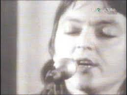 dan vana cu prostii si nebunii