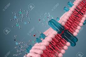 Maybe you would like to learn more about one of these? Cell Membrane And Biology Biological Concept 3d Rendering Computer Digital Drawing Stock Photo Picture And Royalty Free Image Image 142798163
