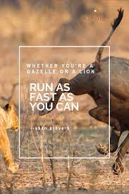 Pin On Motivation And Positivity