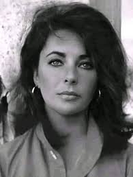 Hi I posted a couple days ago about mr fox sleeping in the bed I got him  and here he is this evening. A few of the comments made quite upset me