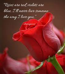 That is what the sun does to those flowers. Romantic Rose Quotes 20 Best Rose Love Quotes With Images