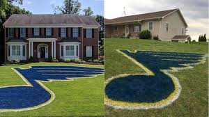 Comprehensive national hockey league news, scores, standings, fantasy games, rumors and more. St Louis Fans Paint Blues Logos On Lawns For Stanley Cup Final