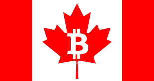 The main appeal of the exchange is its fee structure. 7 Best Places To Buy Bitcoin In Canada One To Avoid 2021