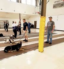 Litter of 10 on puppyfinder.com. Https Www Newsandsentinel Com News Local News 2019 04 Donka Kennels Don Miller Obedience Train Dogs In Parkersburg