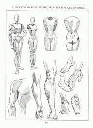 Andrew Loomis Figure Drawing For All Its Worth Figure Drawing Human Figure Drawing Male Figure Drawing