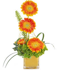 View location, address, reviews and opening hours. Gerbera Sunrise Floral Design In Greenfield Ma Floral Affairs