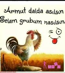 Fotograf Komik Komik Seyler Komik Cuma